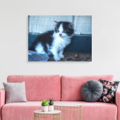 Schwarz + Weiße Kitte Leinwanddruck (Insitu (Wohnzimmer))