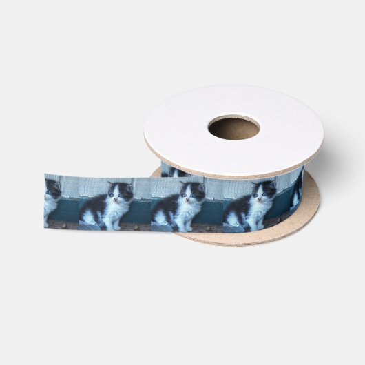 Schwarz + Weiße Kitte Satinband (Spule)