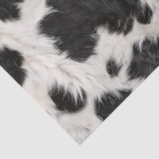 Schwarz-weiße Kuhknochen Fur Seidenpapier (Ausschnitt)