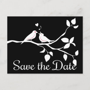 Schwarz-Weiße Liebesvögel Save The Date Hochzeit Ankündigungspostkarte
