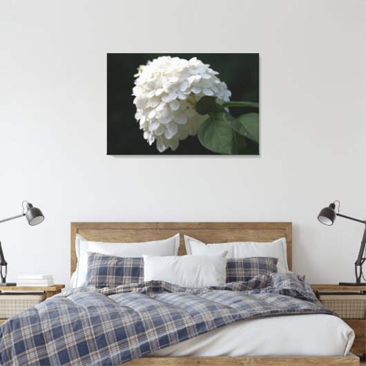 Schwarz-weiße Limone Hydrangea Blume Leinwand (Insitu (Schlafzimmer))
