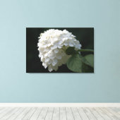 Schwarz-weiße Limone Hydrangea Blume Leinwand (Insitu (Holzboden))