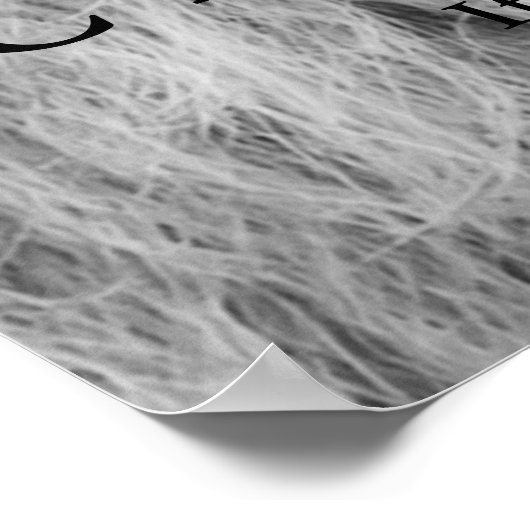 Schwarz-weiße Lion Eyes Challenge Inspiration Poster (Ecke)