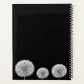 Schwarz-weiße Makrofotografie von Dandelion inspir Planer (Rückseite)