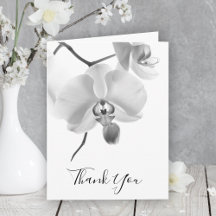 Schwarz-weiße Orchideen auf Stem Beileid Vielen Da