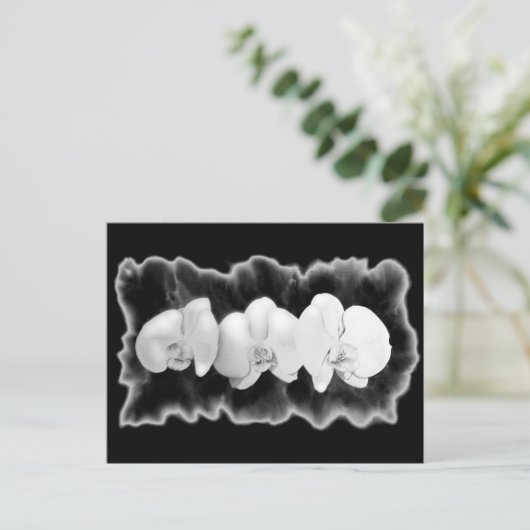 Schwarz-weiße Orchideen Postkarte (Stehend Vorderseite)