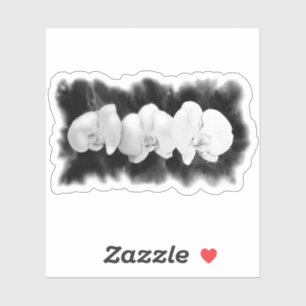Schwarz-weiße Orchideenmalerei Aufkleber