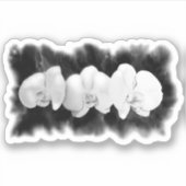 Schwarz-weiße Orchideenmalerei Aufkleber (Vorderseite)