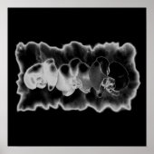 Schwarz-weiße Orchideenmalerei Poster (Vorne)