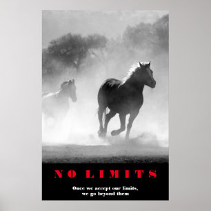 Schwarz Weiße Pferde Motivierend Grenzenlos Kunstw Poster