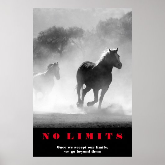 Schwarz-weiße Pferde Motivierend No Limits Artwork Poster (Vorne)