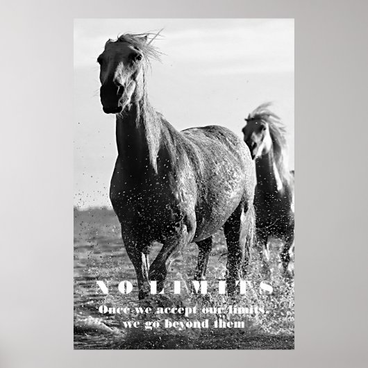 Schwarz-weiße Pferde Motivierend No Limits Artwork Poster (Vorne)