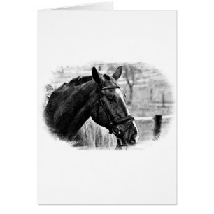 Schwarz-weiße Pferdekizze