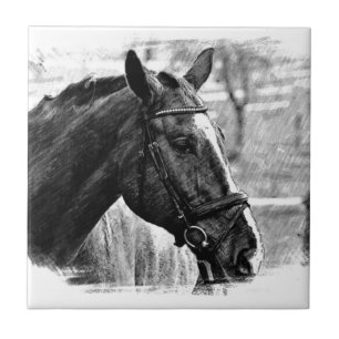 Schwarz-weiße Pferdekizze Fliese