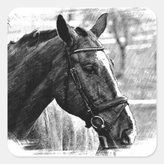 Schwarz-weiße Pferdekizze Quadratischer Aufkleber (Vorderseite)