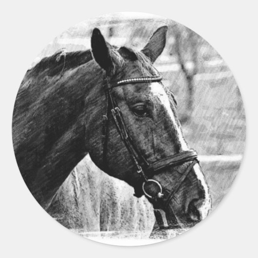 Schwarz-weiße Pferdekizze Runder Aufkleber (Vorderseite)