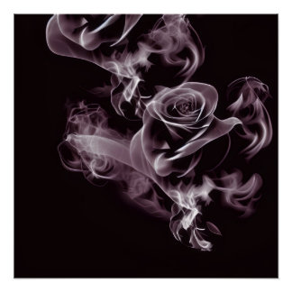 Schwarz - weiße Rose - abstrakt. Poster
