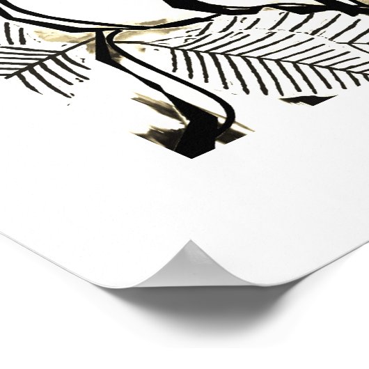 Schwarz-weiße Rose Cool Pop Rose Poster Art Prints (Ecke)