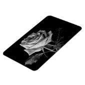 Schwarz-weiße Rose Magnet (Linke Seite)
