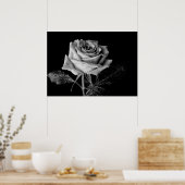 Schwarz-weiße Rose Poster (Küche)
