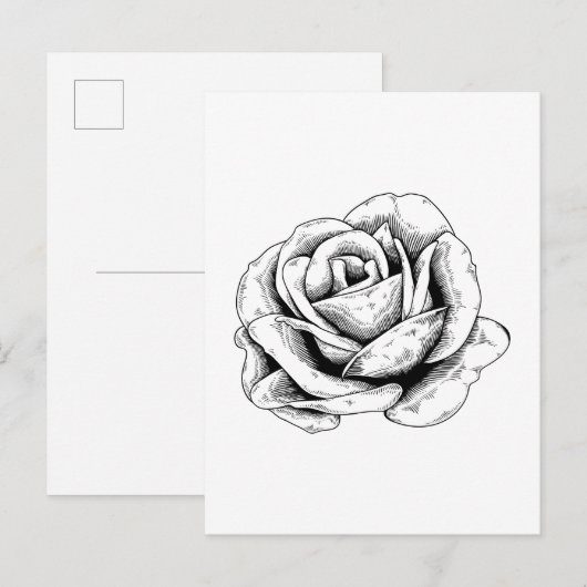 Schwarz-weiße Rose Postkarte (Vorne/Hinten)