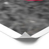 Schwarz-weiße Rote Rose Poster (Ecke)