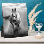 Schwarz-weiße Running Horse Freedom Fotoplatte (Seite)