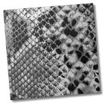 Schwarz-weiße Schlange Fliese<br><div class="desc">Schwarz-weiß Reptile Animal Schlange Hautmuster Keramik Fliesen. Spaß Imitate Tierdruck von Schwarz-Weiß Schlange Haut. Dies ist ein nächstes Foto, wo man fast die 3D der Waage sehen kann. Ob Sie gewollt haben, diese Kachel als kleinen Untersetzer oder Trivet für einen Drink oder Teller zu verwenden... oder Sie gewollt, groß mit...</div>