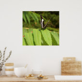 Schwarz-weiße Schmetterlinge Poster (Küche)