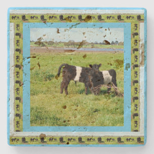 Schwarz-weiße Schwanenkühe, Baby Steinuntersetzer