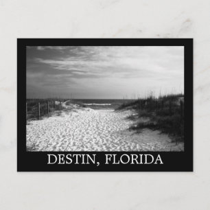 Schwarz-weiße Strandpromenade, Florida Postkarte