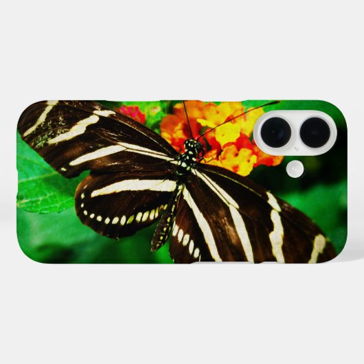 Schwarz-weiße Streifen Schmetterling langes Zebra- Case-Mate iPhone Hülle (Rückseite (Horizontal))