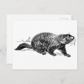 Schwarz-weiße Vintage Bodenplatte Postkarte (Vorne/Hinten)