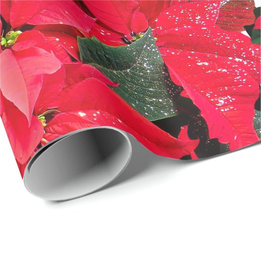 Schwarz-weiße Weihnachtsstreifen, rote Blume Geschenkpapier (Rolleneckpunkt)