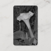 Schwarz-weiße Wildblumen Visitenkarte (Rückseite)