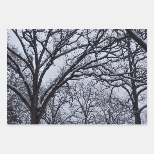 Schwarz-weiße Winterlandschaft Wildwild Geschenkpapier Set (Vorderseite)