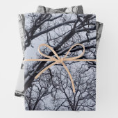 Schwarz-weiße Winterlandschaft Wildwild Geschenkpapier Set (Beispiel)