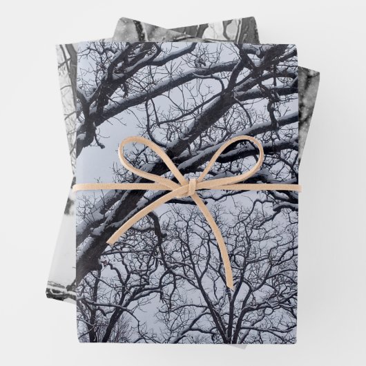 Schwarz-weiße Winterlandschaft Wildwild Geschenkpapier Set (Beispiel)