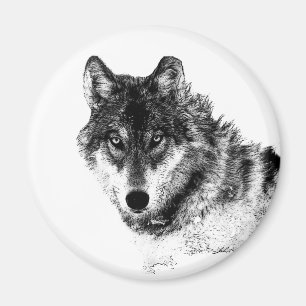 Schwarz-weiße Wolf-Augen Magnet