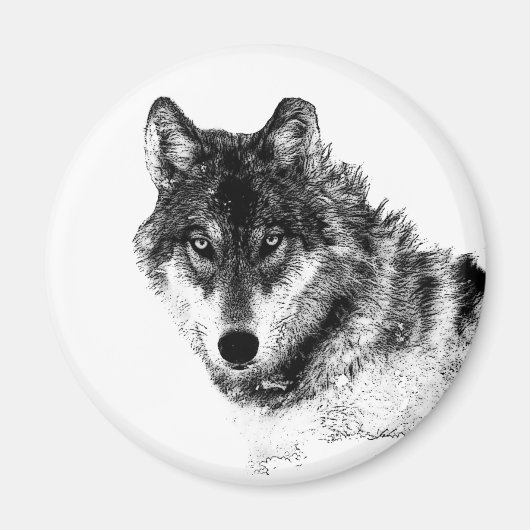 Schwarz-weiße Wolf-Augen Magnet (Vorne)