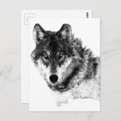 Schwarz-weiße Wolf-Augen Postkarte (Vorne/Hinten)
