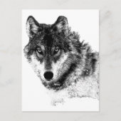 Schwarz-weiße Wolf-Augen Postkarte (Vorderseite)