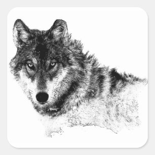 Schwarz-weiße Wolf-Augen Quadratischer Aufkleber