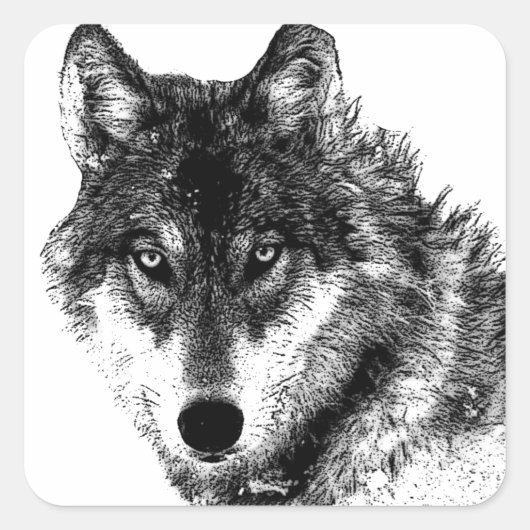Schwarz-weiße Wolf-Augen Quadratischer Aufkleber (Vorderseite)