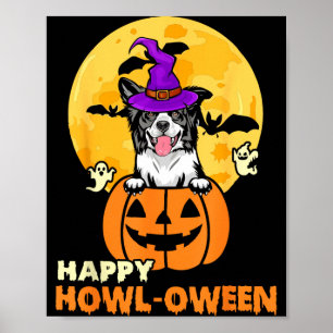 Schwarz-weißer Border Collie Hexenhund glücklich Poster