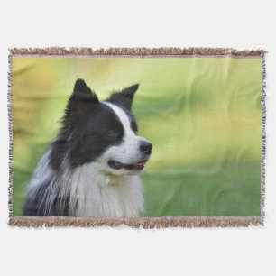 Schwarz-weißer Border Collie Hund Decke