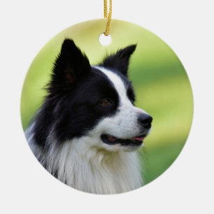 Schwarz-weißer Border Collie Hund Keramik Ornament