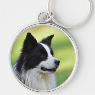Schwarz-weißer Border Collie Hund Schlüsselanhänger