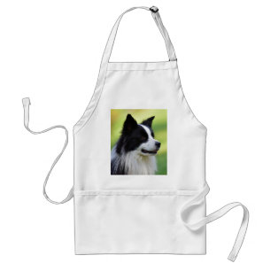 Schwarz-weißer Border Collie Hund Schürze