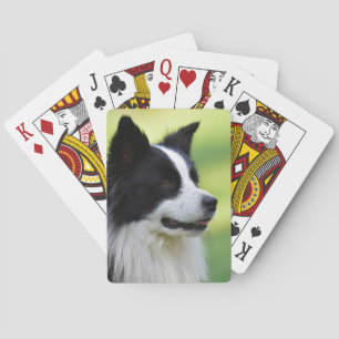 Schwarz-weißer Border Collie Hund Spielkarten